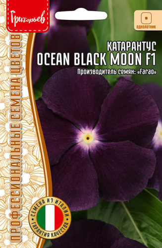 Катарантус Океан F1 Блэк Мун (Ocean Black Moon)