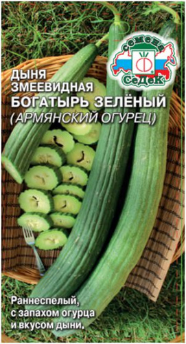 Дыня Богатырь Зеленый  (армянский огурец)