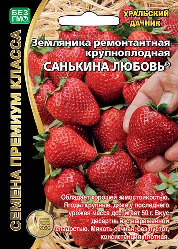 Земляника Санькина любовь  ремонтантная