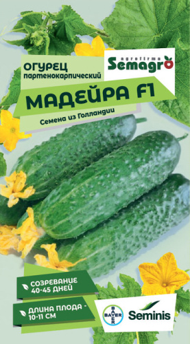 Огурец Мадейра F1 