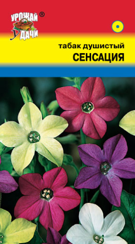 Табак Сенсация душистый 