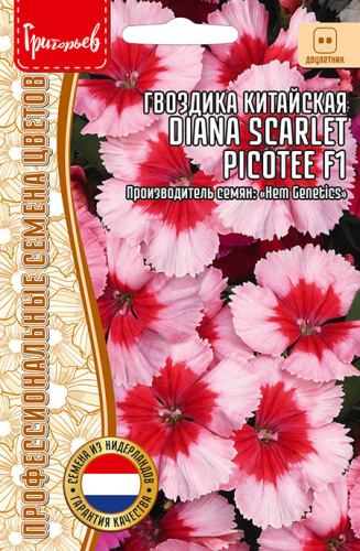 Гвоздика Диана Скарлет Пикоти (Diana Scarlet Picotee)