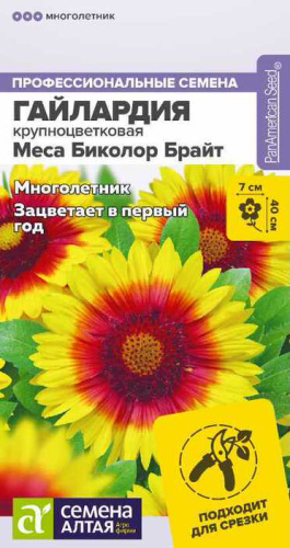 Гайлардия Меса Биколор Брайт