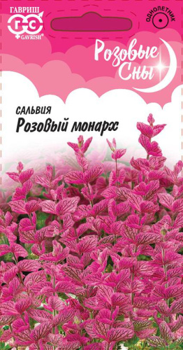 Сальвия Розовый монарх хорминум РС