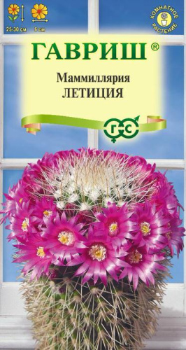 Маммиллярия Бакеберга (Кактус) Летиция