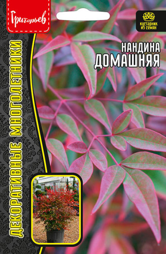 Нандина Домашняя