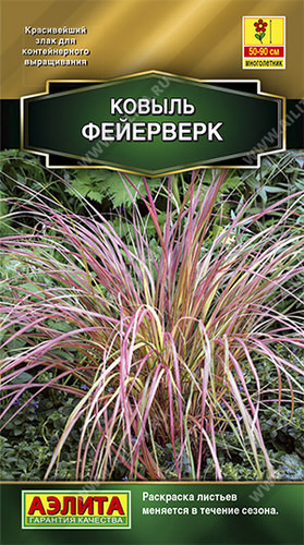 Ковыль Фейерверк 