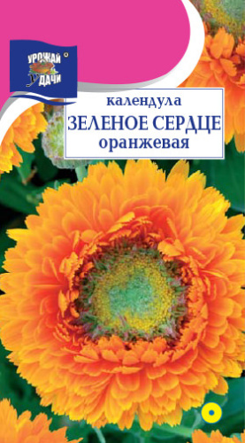Календула Зеленое сердце оранжевое 