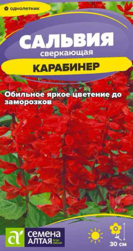 Сальвия Карабинер сверкающая