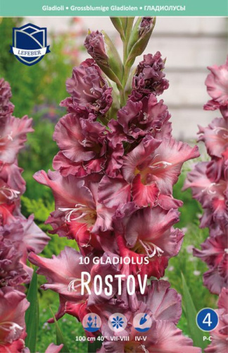 Гладиолус гофрированный Rostov /10шт