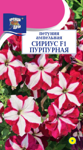 Петуния Сириус F1 Пурпурная ампельная 