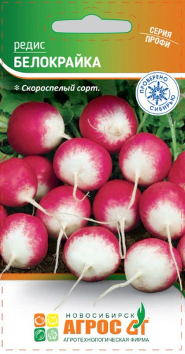 Редис Белокрайка