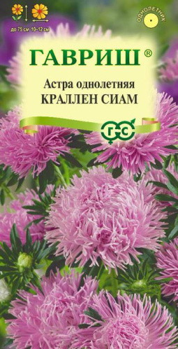 Астра Краллен Сиам