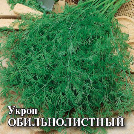Укроп Обильнолистный 25г ПРОФ
