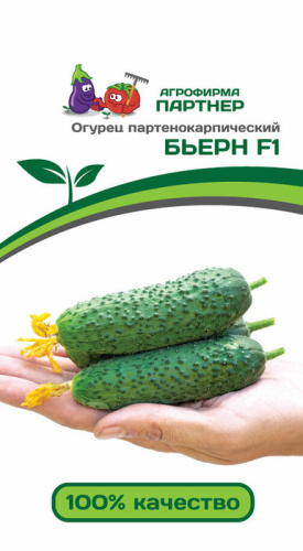 Огурец Бьерн F1 ( 2-ой пак.)  