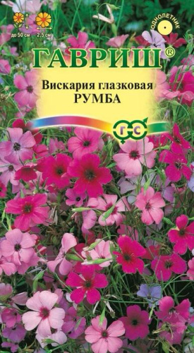 Вискария Румба 