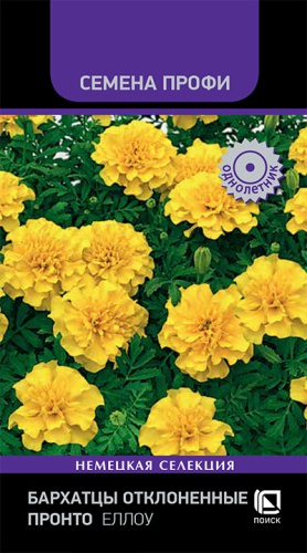 Бархатцы Пронто Еллоу отклоненные