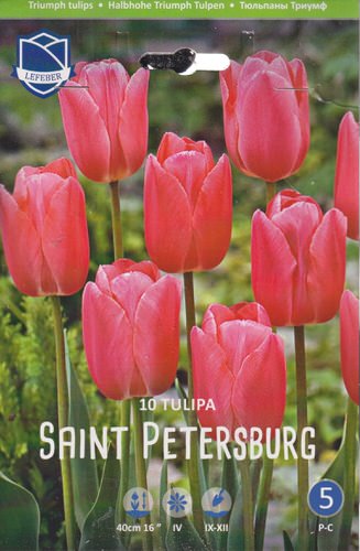 Тюльпан триумф "Saint Petersburg" (1х10шт)