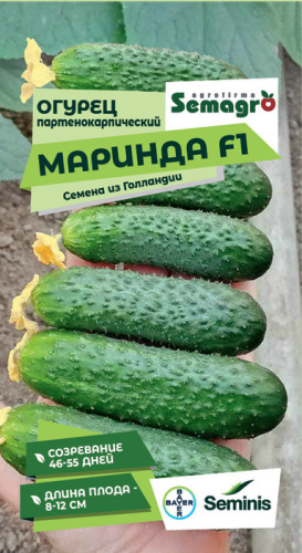 Огурец Маринда F1 