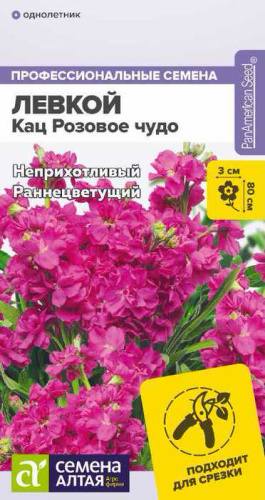 Левкой Кац Розовое чудо махровый