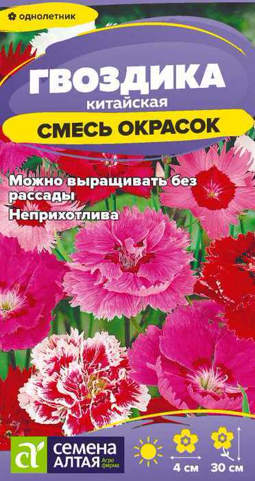 Гвоздика Китайская Смесь окрасок  Гвоздика Китайская Смесь окрасок