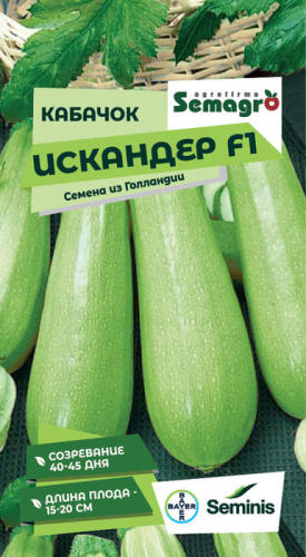 Кабачок Искандер F1 