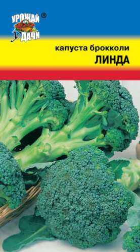 Капуста (брокколи) Линда 