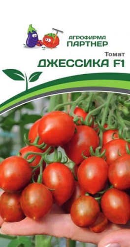 Томат Джессика F1 