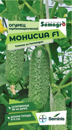 Огурец Монисия F1 
