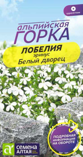 Лобелия Белый Дворец эринус