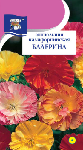 Эшшольция Балерина калифорнийская смесь