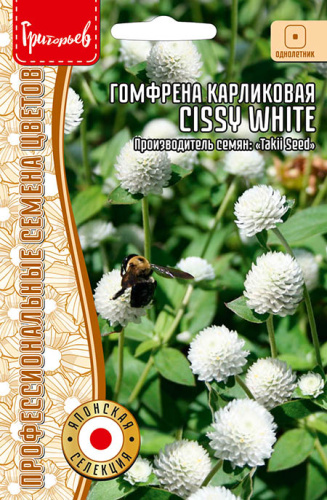 Гомфрена Cissy White карликовая