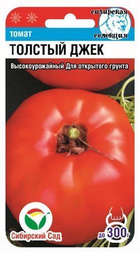 Томат Толстый Джек 
