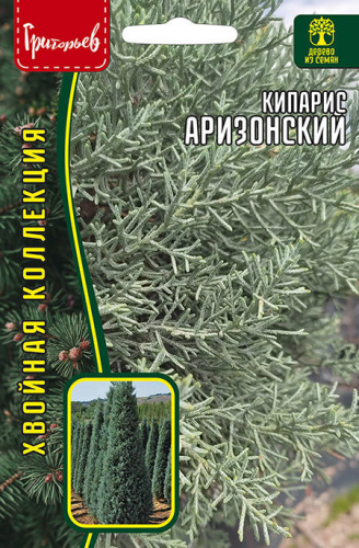 Кипарис Аризонский