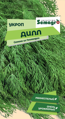 Укроп Дилл
