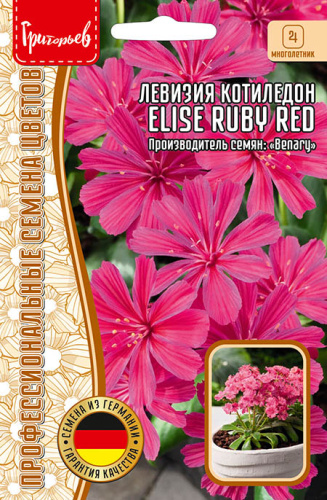 Левизия котиледон Elise Ruby Red