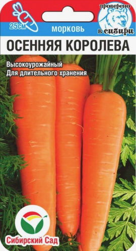 Морковь Осенняя королева 