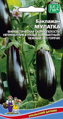 Баклажан Мулатка 