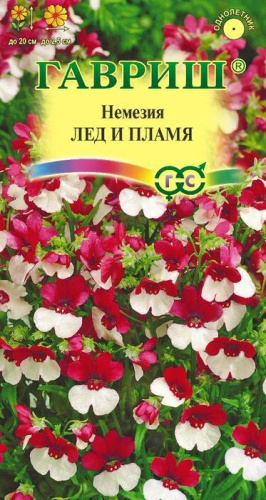 Немезия Лед и пламя  