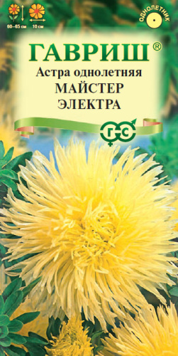 Астра Майстер Электра (игольчатая желтая)