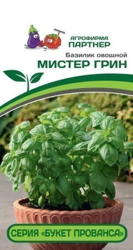 Базилик Мистер Грин