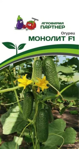 Огурец Монолит F1 