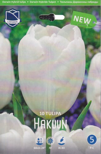 Тюльпан дарвинов гибрид "Hakuun" (1х10шт)