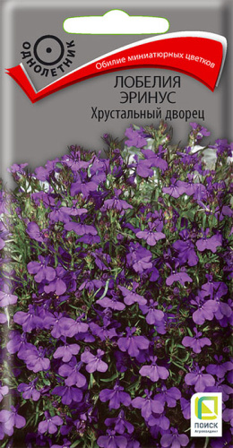 Лобелия Хрустальный дворец эринус
