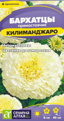 Бархатцы Килиманджаро прямостоячие