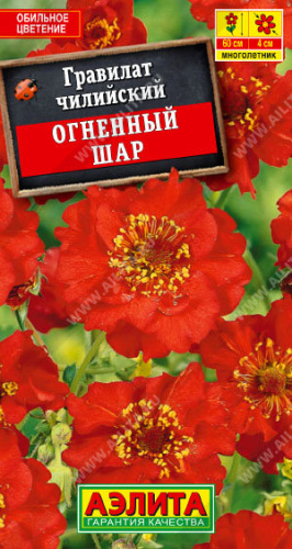 Гравилат Огненный шар 