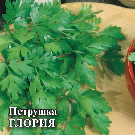 Петрушка листовая Глория 25г