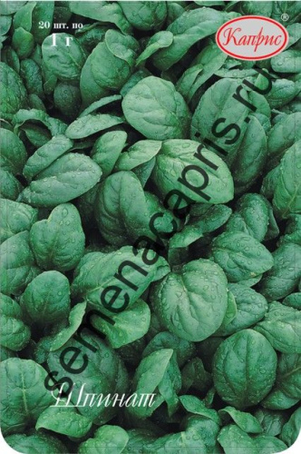 Шпинат Исполинский/1шт