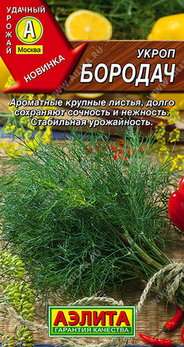 Укроп Бородач