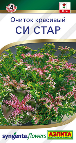 Очиток красивый Си стар